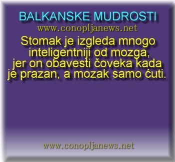 Smesni natpisi, smesni oglasi i smesne slike