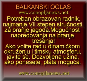 Smesni natpisi, smesni oglasi i smesne slike