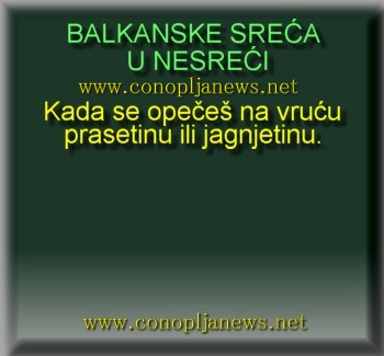 Smesni natpisi, smesni oglasi i smesne slike