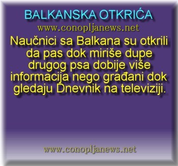 Smesni natpisi, smesni oglasi i smesne slike