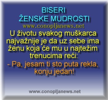 Smesni natpisi, smesni oglasi i smesne slike