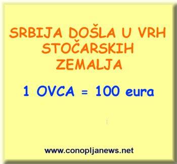 Smesni natpisi, smesni oglasi i smesne slike