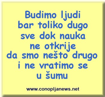 Smesni natpisi, smesni oglasi i smesne slike