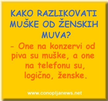 Smesni natpisi, smesni oglasi i smesne slike