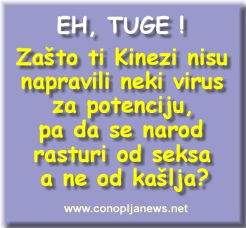 Smesni natpisi, smesni oglasi i smesne slike