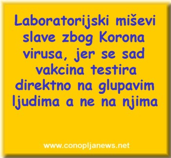 Smesni natpisi, smesni oglasi i smesne slike