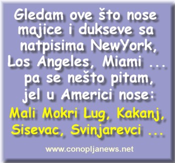 Smesni natpisi, smesni oglasi i smesne slike