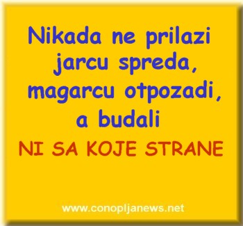 Smesni natpisi, smesni oglasi i smesne slike