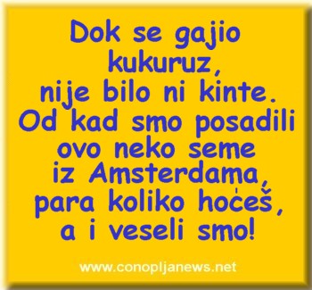 Smesni natpisi, smesni oglasi i smesne slike