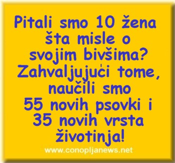 Smesni natpisi, smesni oglasi i smesne slike