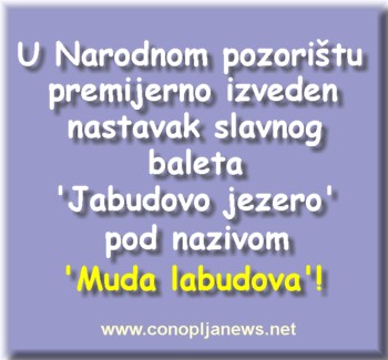 Smesni natpisi, smesni oglasi i smesne slike