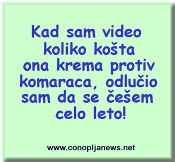 Smesni natpisi, smesni oglasi i smesne slike