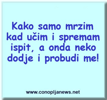 Smesni natpisi, smesni oglasi i smesne slike