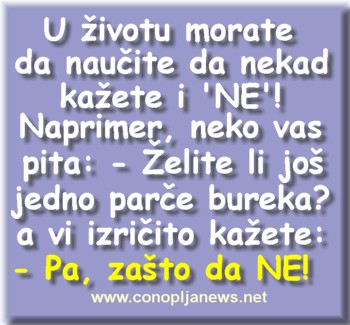 Smesni natpisi, smesni oglasi i smesne slike