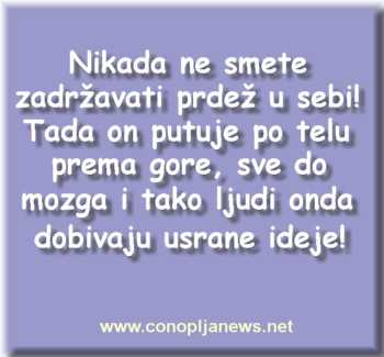 Smesni natpisi, smesni oglasi i smesne slike