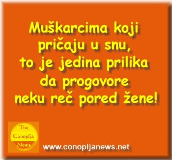 Smesni natpisi, smesni oglasi i smesne slike
