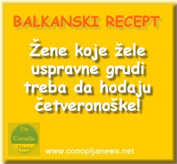 Smesni natpisi, smesni oglasi i smesne slike