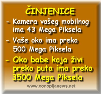 Smesni natpisi, smesni oglasi i smesne slike