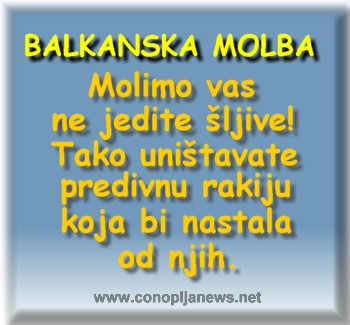 Smesni natpisi, smesni oglasi i smesne slike