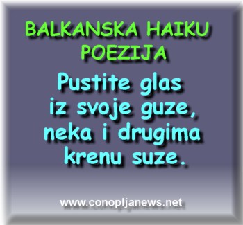 Smesni natpisi, smesni oglasi i smesne slike