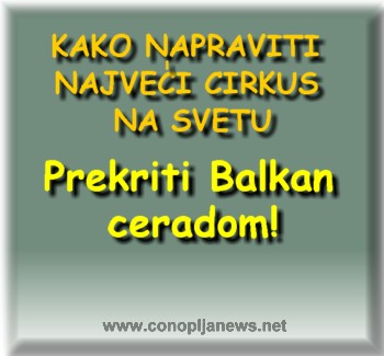 Smesni natpisi, smesni oglasi i smesne slike