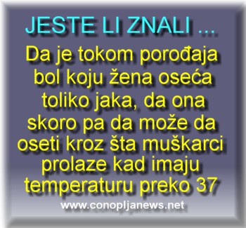 Smesni natpisi, smesni oglasi i smesne slike