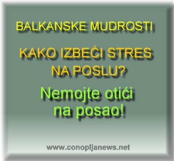 Smesni natpisi, smesni oglasi i smesne slike