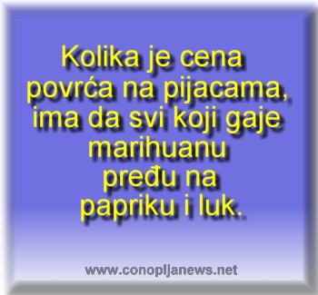 Smesni natpisi, smesni oglasi i smesne slike