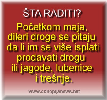 Smesni natpisi, smesni oglasi i smesne slike