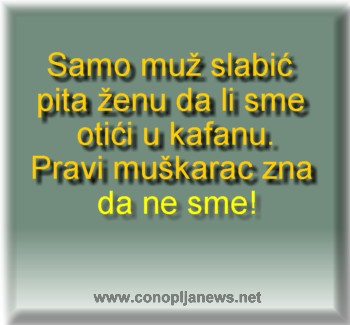 Smesni natpisi, smesni oglasi i smesne slike