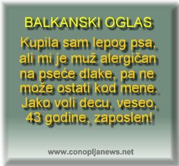 Smesni natpisi, smesni oglasi i smesne slike