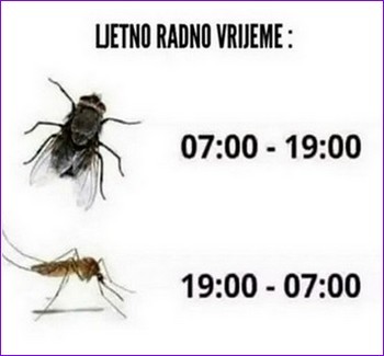 SMEŠNI POSTERE I NATPISI