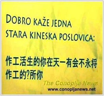 SMEŠNI POSTERE I NATPISI