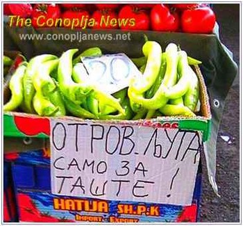 SMEŠNI POSTERE I NATPISI