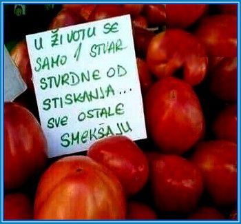 Smesni natpisi, smesni oglasi i smesne slike