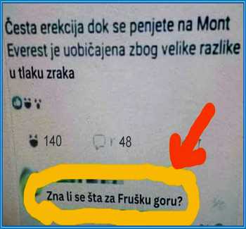 Smesni natpisi, smesni oglasi i smesne slike