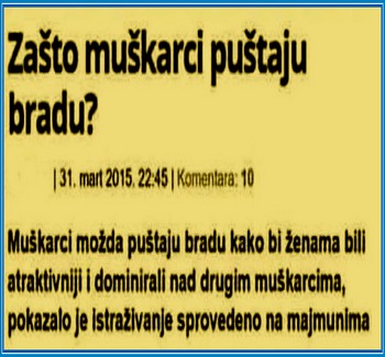 Smesni natpisi, smesni oglasi i smesne slike