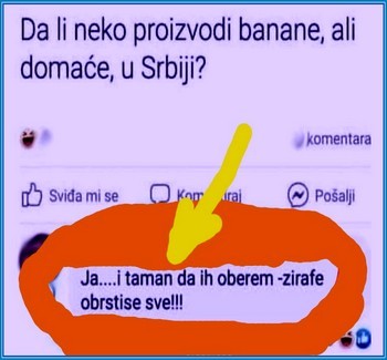 Smesni natpisi, smesni oglasi i smesne slike