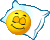 :81