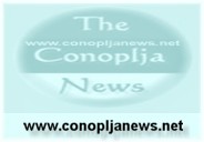 Conoplja srednja