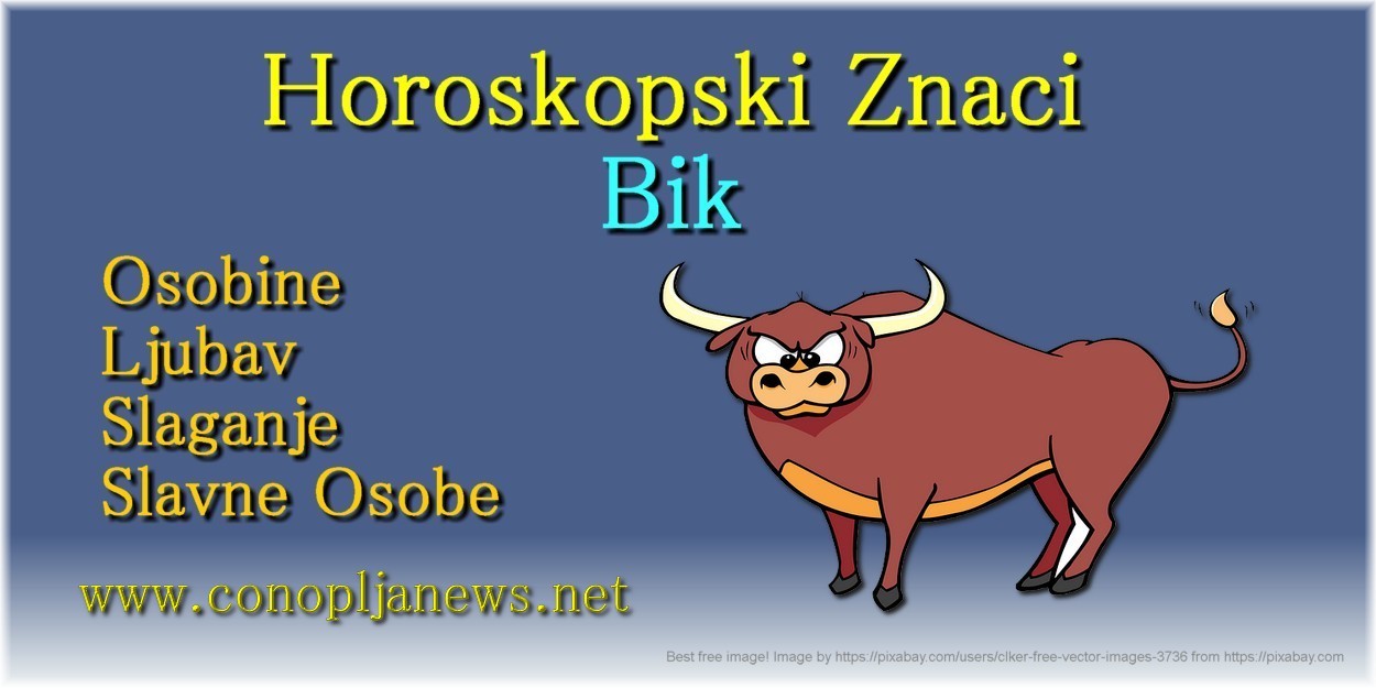Bik i bik ljubavna kombinacija