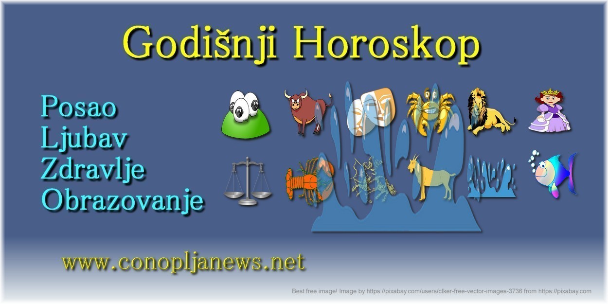 Godišnji horoskop za Vodolije za 2025.
