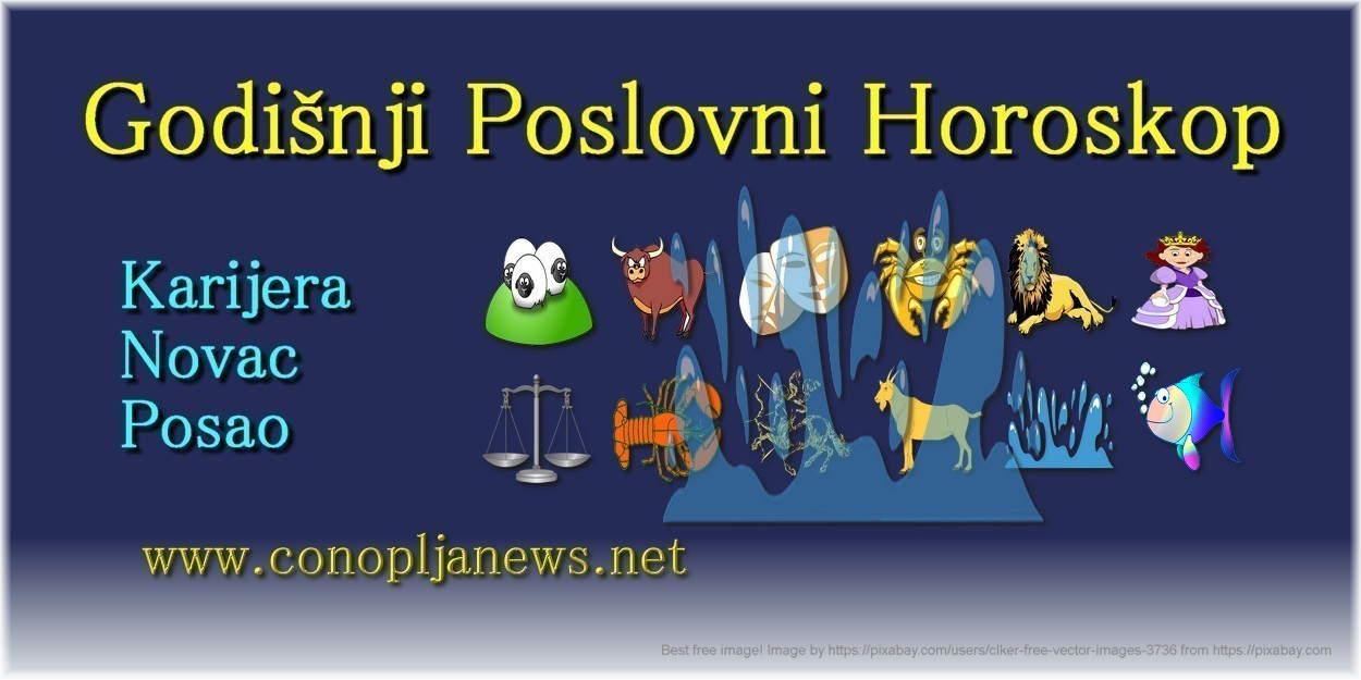 Godišnji poslovni horoskop za Vodolije za 2024.